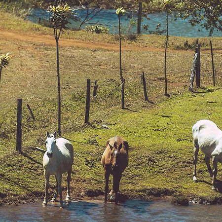 Готель Termales Del Bosque & Hot Springs La Marina Екстер'єр фото