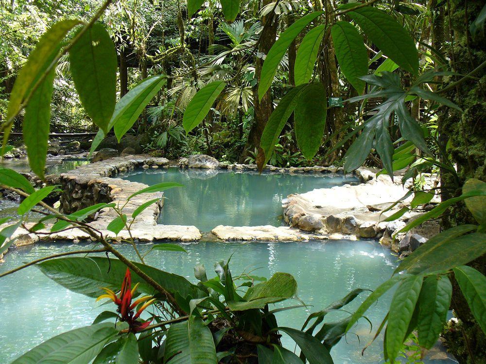 Готель Termales Del Bosque & Hot Springs La Marina Екстер'єр фото