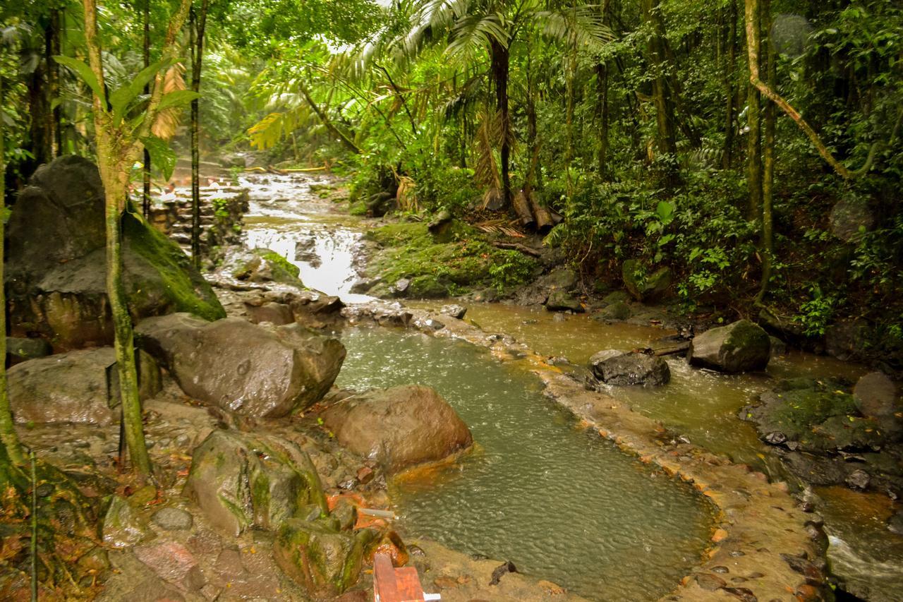Готель Termales Del Bosque & Hot Springs La Marina Екстер'єр фото