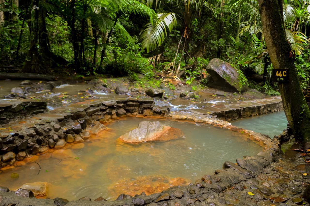 Готель Termales Del Bosque & Hot Springs La Marina Екстер'єр фото