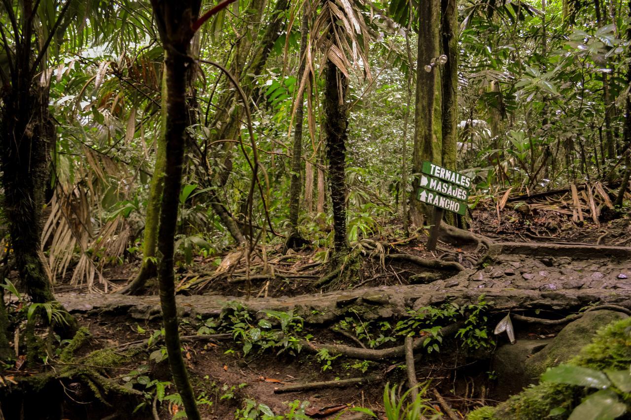 Готель Termales Del Bosque & Hot Springs La Marina Екстер'єр фото